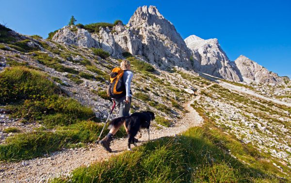 dogtrekking-strecke