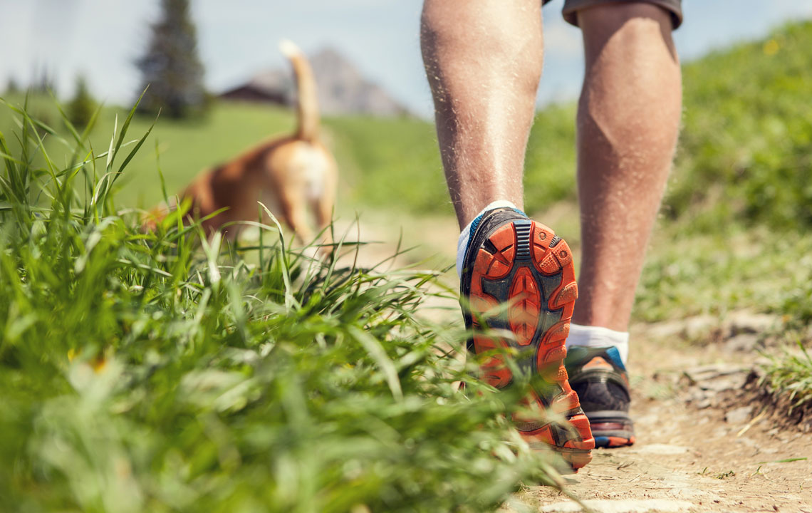 dogtrekking