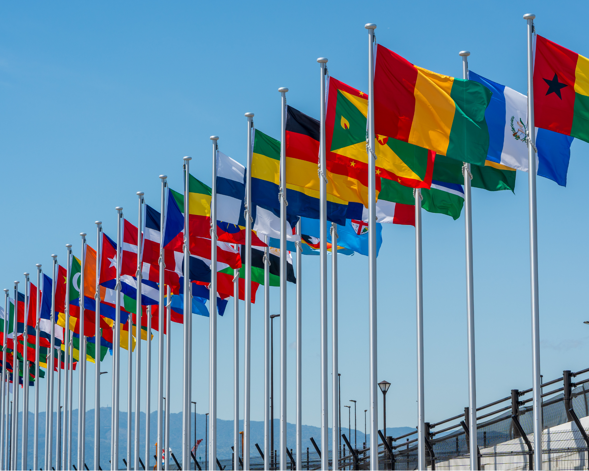 Alle Flaggen der Nato in einer Reihe vor blauem Himmel