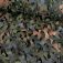flecktarn