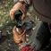 Camp Hand Coffee Grinder