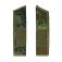 flecktarn