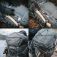snigel grey