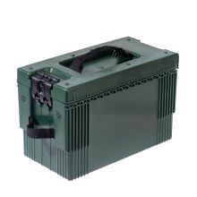 RAL 6007