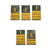 flecktarn/gold