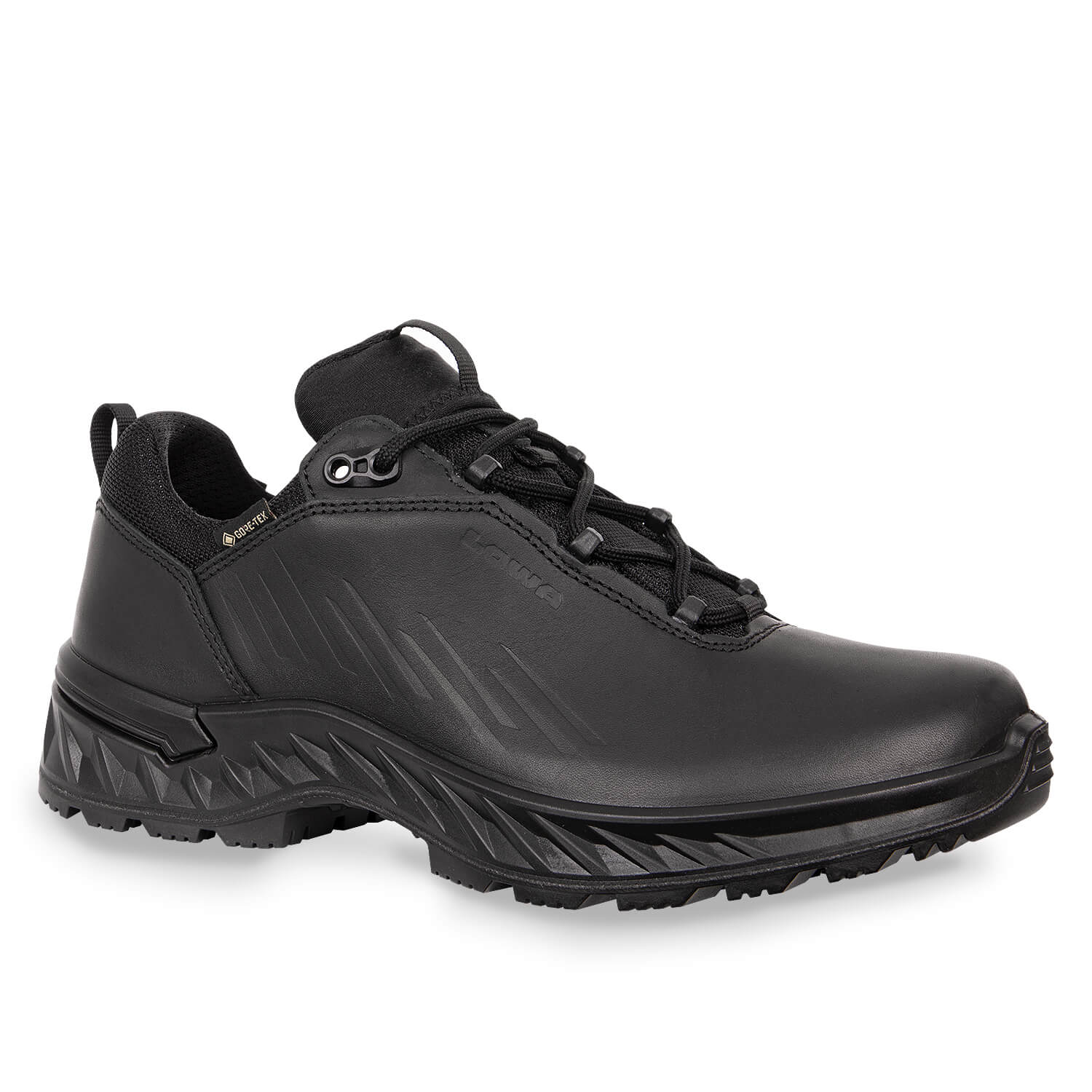 Zicon GTX Low Einsatzschuhe