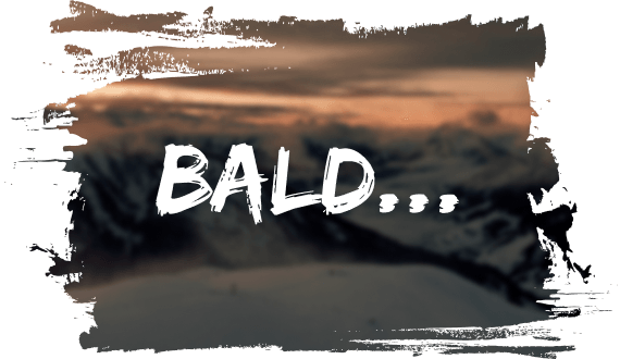 Bald mehr von Fritz Meinecke im bw-online-shop